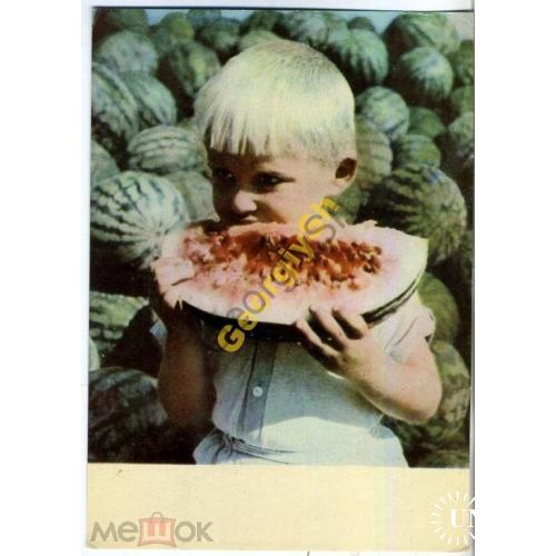  Херсонские арбузы фото Минделя  