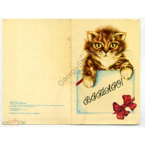 Илинг Поздравляю 1986 Радянська Украина на украинском котенок  