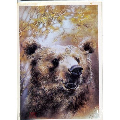 Исаков Медведь 1989 в2  