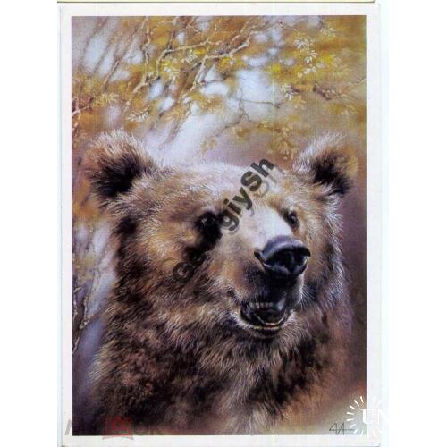 Исаков Медведь 1989  