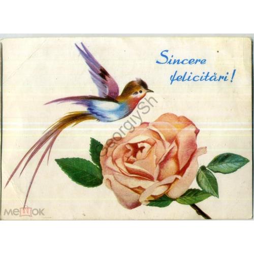 Искренние поздравления 1971 ДМПК Румыния колибри  