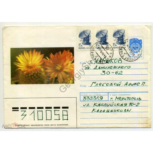 Кактус Пародия огнецветная 90-467 ХМК прошел почту из Мелитополь марки космос  стандарт