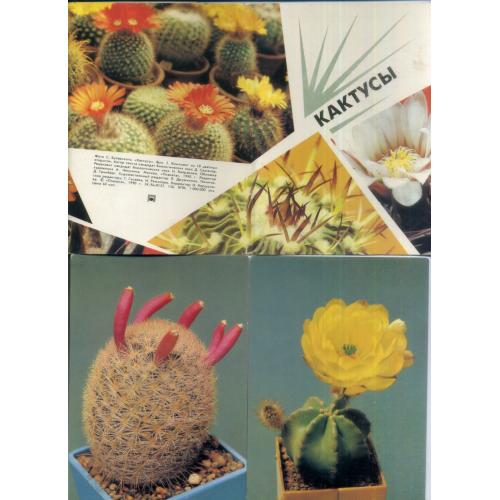 Кактусы вып.2 набор 18 открыток 1990