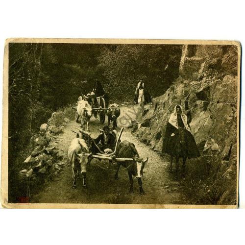 Карачай Ущелье Тебеды аул Н. Тебердинский Карачаевцы на дороге 1928  