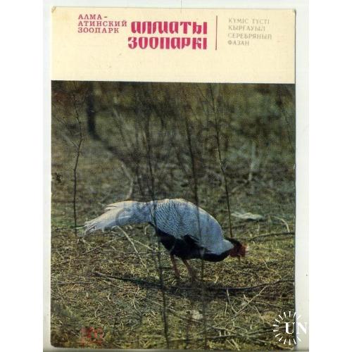 карманный календарик 1982 Алма-Ата зоопарк Серебристый фазан  