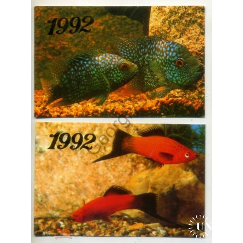 карманный календарик 1992 аквариумные рыбки 2шт  