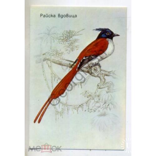 карманный календарик Болгария 1987 птица Райская вдовушка  