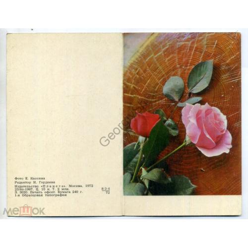 Кассина Поздравляю Розы 1972  