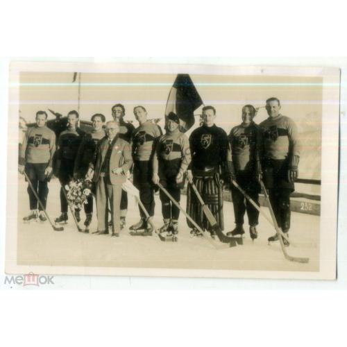 команда Чехии - хоккей с шайбой  