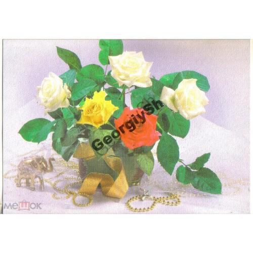 Костюченко Поздравляю 2000 ДМПК Украина  чистая розы