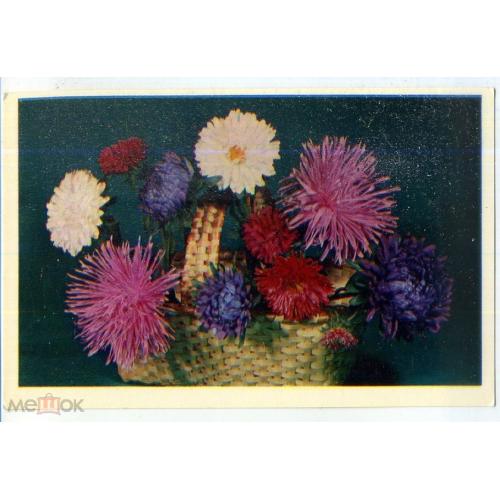 Круцко С праздником! 1977 корзина цветов  