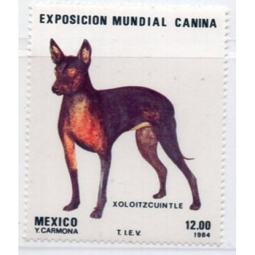 Мексика Всемирная выставка собак ксолоитцкуинтли 1984 MNH 