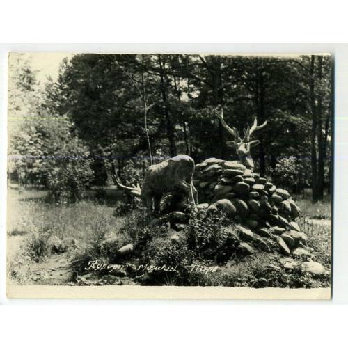 Моршин Парк Олени