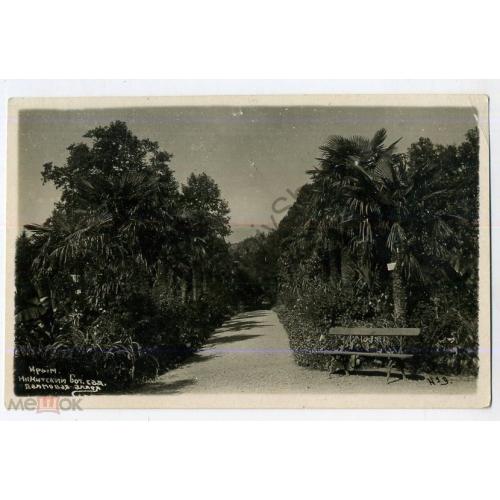 Никитский ботанический сад. 9 Пальмовая аллея  