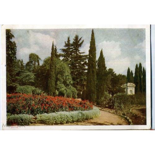 Никитский ботанический сад им Молотова Уголок сада возле главного входа 19.05.1955  