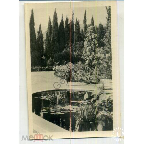 Никитский Ботанический сад имени Молотова 1062 фото Угриновича 12.05.1955 Укрфото в5-6  