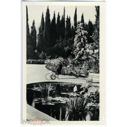 Никитский Ботанический сад им Молотова 1062 Укрфото 30.06.1955 Угринович  