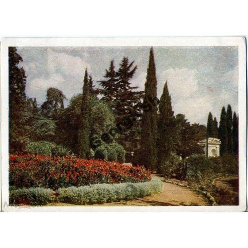 Никитский ботанический сад Уголок у входа 19.05.1955  фото Бакман