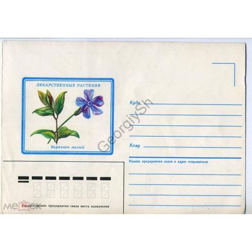 немаркированный конверт  НК Антипина Барвинок малый Лекарственные растения 1986  
