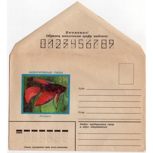 немаркированный конверт НК В. Остапенко Аквариумные рыбки Петушок 1982  Гознак