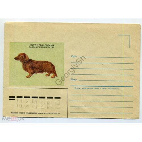 немаркированный конверт НК Слепов Охотничьи собаки Такса длинношерстная 1985  