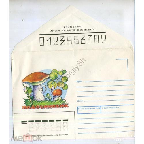 немаркированный конверт  НК Усова гриб Подосиновик 16.04.1991 в5-6  