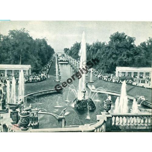 Петродвоец Вид Нижнего парка фонтан Самсон 11.05.1960  ИЗОГИЗ
