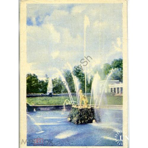 Петродворец 3 фонтан Самсон 05.06.1960  ИЗОГИЗ