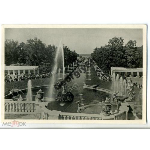   Петродворец Аллея фонтанов 1952 ЛФХ  
