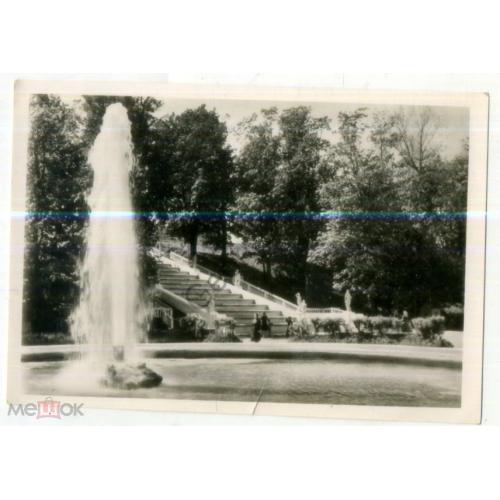 Петродворец Большой фонтан фото Сэккэ 1956 ЛФХ в7-1  