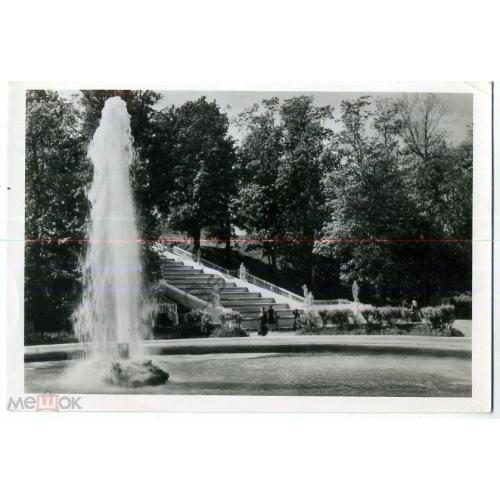 Петродворец Большой фонтан фото Сэккэ 1956 ЛФХ  