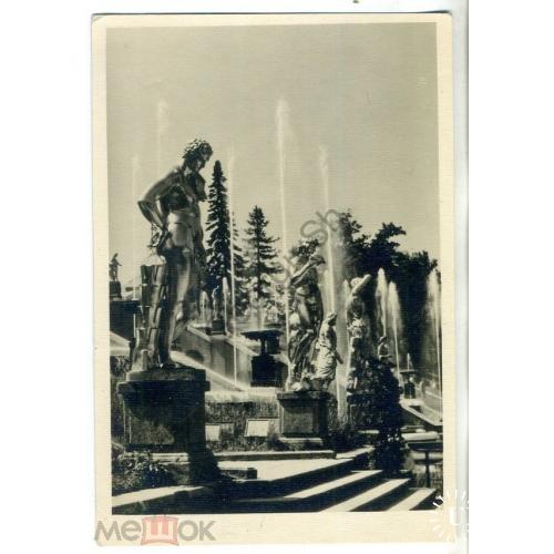 Петродворец Фонтаны Большого каскада 250 лет фото Мазелев 1957 Ленфотохудожник ЛФХ  