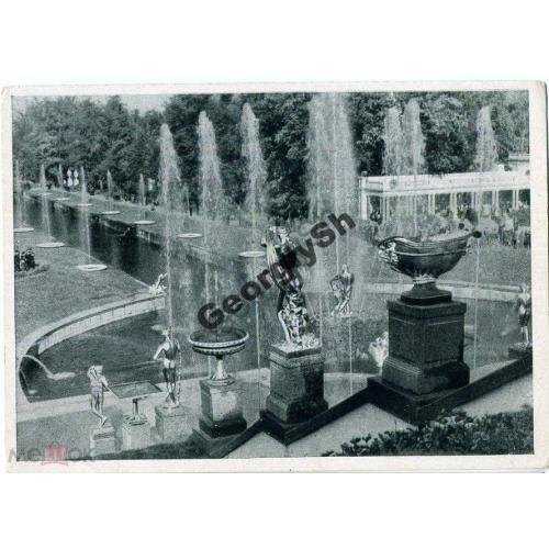 Петродворец Общий вид восстановленных фонтанов 1948  