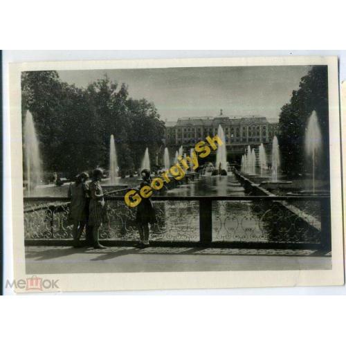 Петродворец Вид на аллею фонтанов 1953 Ленфотохудожник