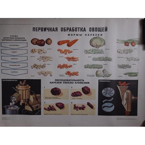 плакат Первичная обработка овощей - 1985 Просвещение / 89х61 см 