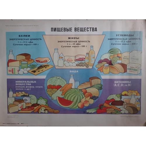 плакат Пищевые вещества - 1985 Просвещение / 89х61 см 