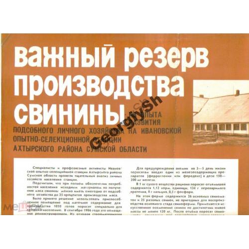  Плакат - производство свинины важный резерв Ахтырка 12.10.1987  