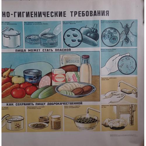 плакат Санитарно-гигиенические требования к продуктам - 1985 Просвещение / 89х61 см 