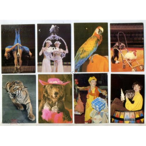 подборка 17 карманных календариков 1983-1988 Советский Цирк - клон, дрессировщик, гимнасты  