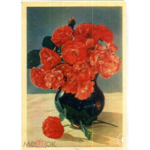 Полиантовые розы фото И. Шагин 1957 издательство Правда чистая  