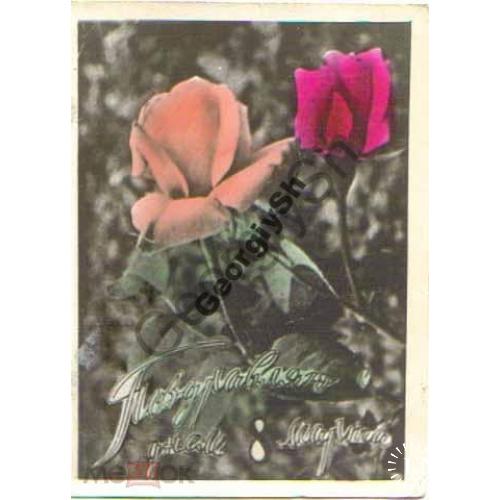 Поздравляю 8 марта 1972 - фотокич о-ва глухонемых  - розы