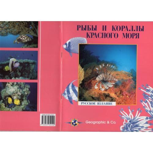 Рыбы и кораллы Красного моря 2000