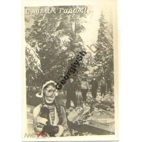 С Новым годом! Лыжники в лесу 1953 Ленфотохудожник  