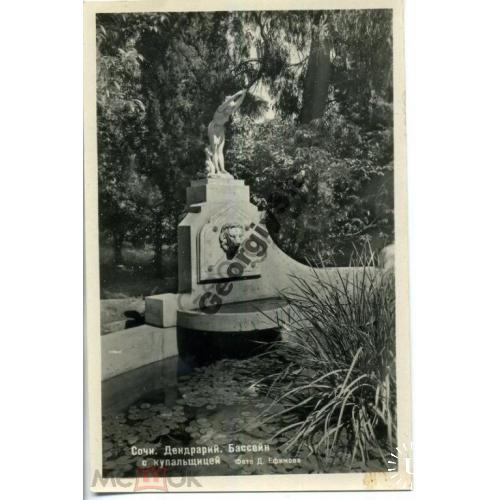     Сочи Бассейн с купальщицей 1951 Ефимов  