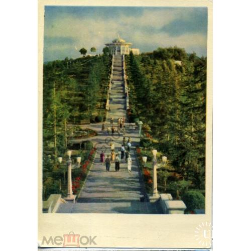 Сухуми 12 Парк культуры и отдыха на Сухумской горе 1963  ИЗОГИЗ