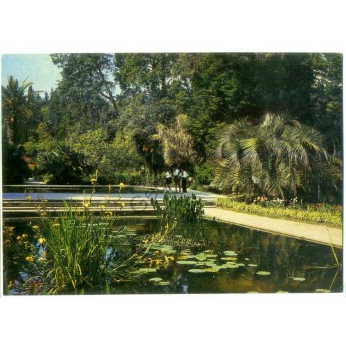 Сухуми В ботаническом саду 1982 фото Дорожинского в2  