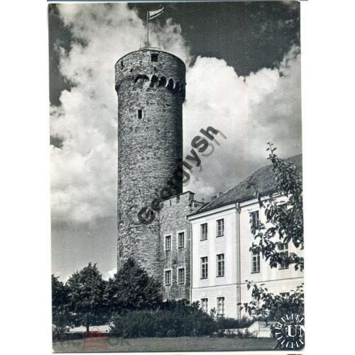 Таллин Башня Длинный Герман 1970  