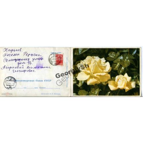 бланк телеграммы ТЛГ Матанов Розы 12.09.1966 прошла почту  