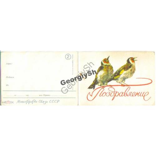 бланк телеграммы  ТЛГ Поздравление Соловьи 28.06.1958  