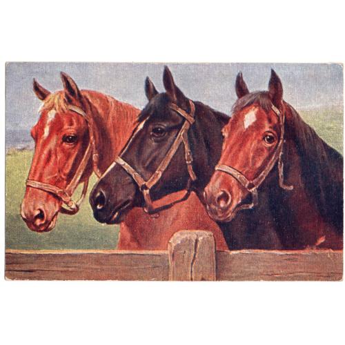 Три коня №46 Графическое дело